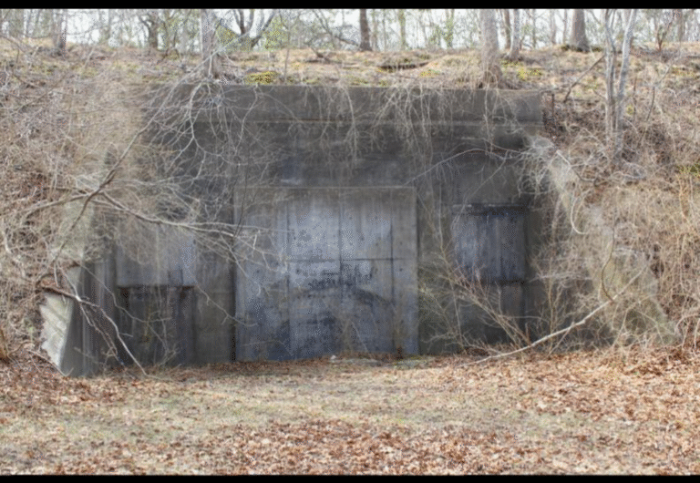 El Proyecto Montauk: la verdad sobre Stranger Things