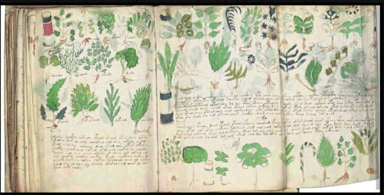 EL MANUSCRITO VOYNICH: EL LIBRO MÁS ENIGMÁTICO DE LA HISTORIA