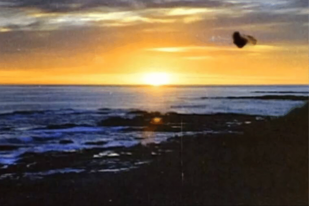 Lugar de la desaparición de Frederick Valentich